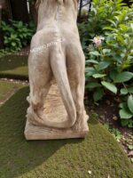 Statua Leone con sfera altezza 106 cm - immagine 6