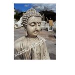 STATUA BUDDHA - immagine 5
