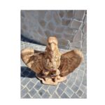 STATUA AQUILA ALTEZZA 60 CM - immagine 3