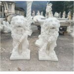 COPPIA DI LEONI - immagine 3