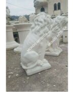 COPPIA DI LEONI - immagine 4