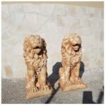 COPPIA DI LEONI - immagine 2