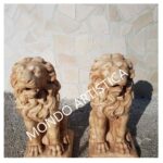 COPPIA DI LEONI - immagine 3