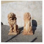 COPPIA DI LEONI - immagine 5