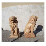 COPPIA DI LEONI - immagine 6