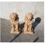 COPPIA DI LEONI - immagine 7