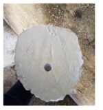 MASCHERONE LEONE - immagine 7