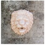 MASCHERONE LEONE - immagine 2