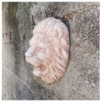 MASCHERONE LEONE - immagine 3