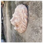 MASCHERONE LEONE - immagine 4