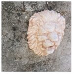 MASCHERONE LEONE - immagine 5