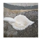 CIGNO DECORATO - BECCO GIALLO - immagine 5