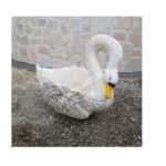 CIGNO DECORATO - BECCO GIALLO - immagine 8