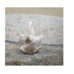 CIGNO DECORATO - BECCO GIALLO - immagine 9