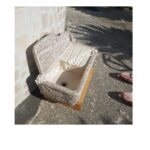 LAVANDINO - immagine 5