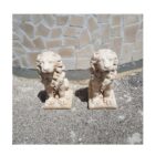 COPPIA DI LEONI - immagine 4