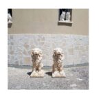 COPPIA DI LEONI - immagine 5