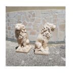 COPPIA DI LEONI - immagine 7