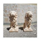 COPPIA DI LEONI - immagine 8