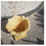 COPPIA DI VASI CALICI - immagine 5