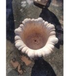 COPPIA DI VASI CALICI - immagine 3