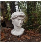 BUSTO DAVID - immagine 2