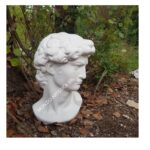 BUSTO DAVID - immagine 4