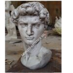BUSTO DAVID - immagine 4