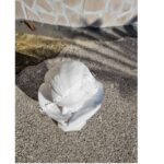 BUSTO GIUSEPPE VERDI - immagine 7