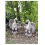 COPPIA AQUILE - immagine 4