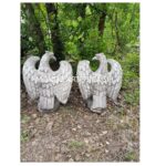 COPPIA AQUILE - immagine 5