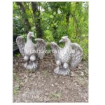 COPPIA AQUILE - immagine 6