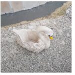 VASO CIGNO DIPINTO A MANO - immagine 11