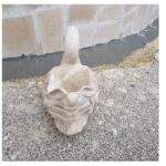 VASO CIGNO DIPINTO A MANO - immagine 4