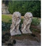 COPPIA DI LEONI - immagine 3