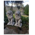 COPPIA DI LEONI - immagine 4