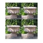 VASO CALICE - N° 4 VASI