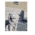 COPPIA DI LEONI ALTEZZA 70 CM - immagine 3