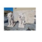 COPPIA DI LEONI ALTEZZA 70 CM - immagine 4