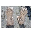 COPPIA DI LEONI ALTEZZA 70 CM - immagine 5