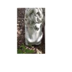 LEONE ALTEZZA 56 CM - immagine 5