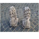 COPPIA DI LEONI CON STEMMA - immagine 6