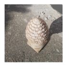 N° 2 PIGNE ALTEZZA 51 CM - immagine 4