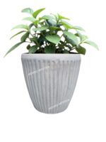 Vaso rotondo - Altezza 32,5 Cm Diametro 35 cm - immagine 7