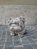 Cane Bulldog inglese - immagine 3