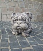 Cane Bulldog inglese - immagine 4