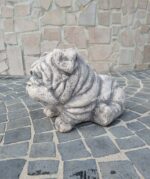 Cane Bulldog inglese - immagine 6