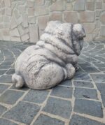 Cane Bulldog inglese - immagine 10