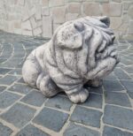 Cane Bulldog inglese - immagine 5