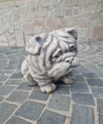 Cane Bulldog inglese - immagine 7